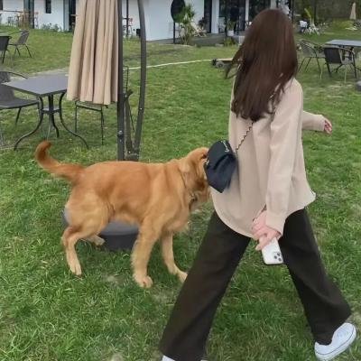 爆笑虫子 第一季